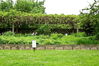 Dateiname=_MG_2181-12-1.JPG
Dateigröße=202KB
Abmessungen: 800x533
hinzugefügt am: 03. Juni 2010 _MG_2181-12-1.JPG