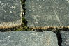 Dateiname=_MG_7942.JPG
Dateigröße=163KB
Abmessungen: 800x533
hinzugefügt am: 12. Juni 2009 _MG_7942.JPG