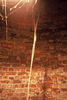 Dateiname=brunnen1.JPG
Dateigröße=71KB
Abmessungen: 536x800
hinzugefügt am: 26. Juni 2009 brunnen1.JPG