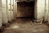 Dateiname=trafohauskeller.JPG
Dateigröße=80KB
Abmessungen: 800x536
hinzugefügt am: 27. Juni 2009 trafohauskeller.JPG